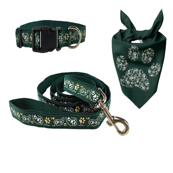 Coler Ci Addasadwy A Leash Set Gyda Bandana